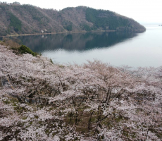 卒業生様からまたまた素晴らしいドローン空撮画像をお送り頂きました。