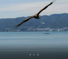 奇跡的な1枚　卒業生様の空撮画像！！！