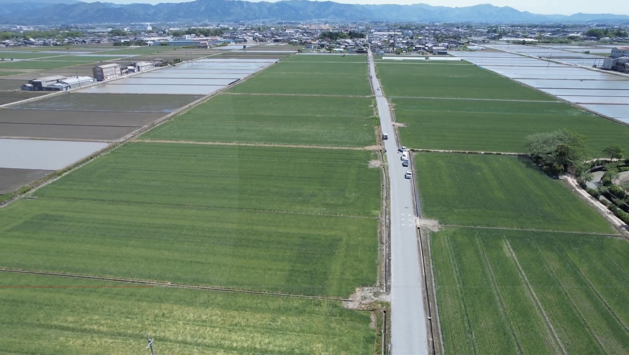 散布後の空撮