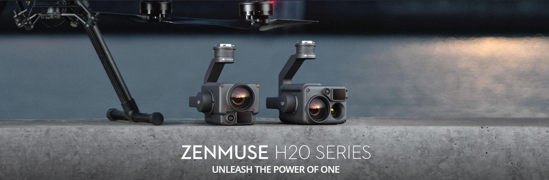 ZENMUSE H20シリーズ