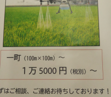 本校　農薬散布の請負も行います。
