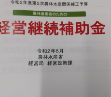 農林漁業者のための経営継続補助金　農薬散布ドローンもその対象。
