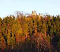 卒業生のK様より素晴らしい空撮画像を頂きました。