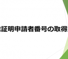 スクリーンショット (813)